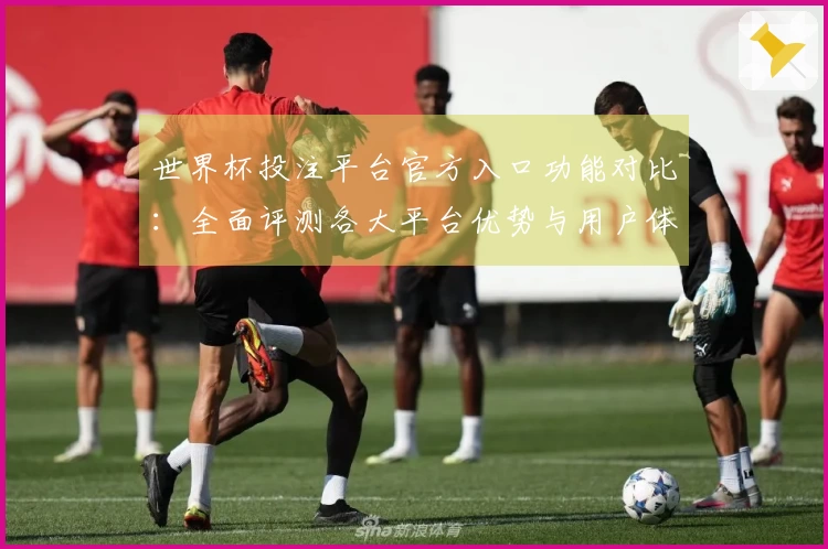 世界杯投注平台官方入口功能对比：全面评测各大平台优势与用户体验
